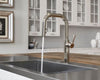 Montay 1-Handle Pull-Down Kitchen Faucet 1-Handle Pull-Down Kitchen Faucet
