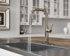 Montay 1-Handle Pull-Down Kitchen Faucet 1-Handle Pull-Down Kitchen Faucet
