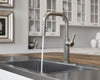 Montay 1-Handle Pull-Down Kitchen Faucet 1-Handle Pull-Down Kitchen Faucet