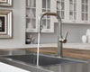 Montay 1-Handle Pull-Down Kitchen Faucet 1-Handle Pull-Down Kitchen Faucet