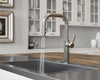 Montay 1-Handle Pull-Down Kitchen Faucet 1-Handle Pull-Down Kitchen Faucet