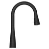 Neera 1-Handle Pull-Down Kitchen Faucet 1-Handle Pull-Down Kitchen Faucet