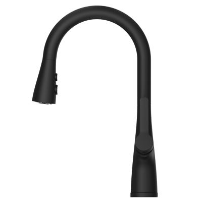 Neera 1-Handle Pull-Down Kitchen Faucet 1-Handle Pull-Down Kitchen Faucet