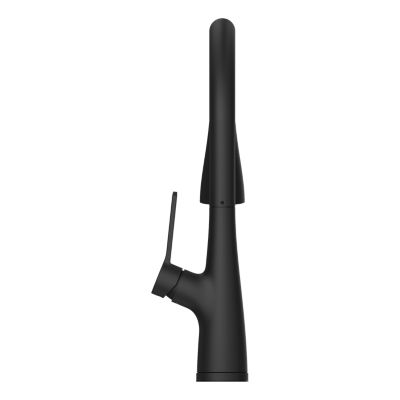 Neera 1-Handle Pull-Down Kitchen Faucet 1-Handle Pull-Down Kitchen Faucet