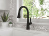 Neera 1-Handle Pull-Down Kitchen Faucet 1-Handle Pull-Down Kitchen Faucet