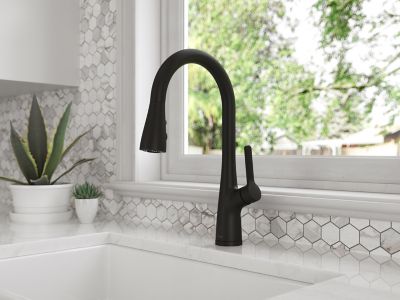 Neera 1-Handle Pull-Down Kitchen Faucet 1-Handle Pull-Down Kitchen Faucet