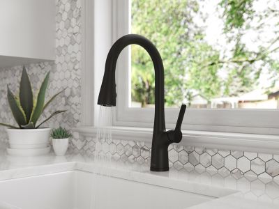 Neera 1-Handle Pull-Down Kitchen Faucet 1-Handle Pull-Down Kitchen Faucet