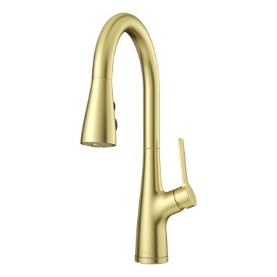 Neera 1-Handle Pull-Down Kitchen Faucet 1-Handle Pull-Down Kitchen Faucet