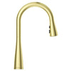 Neera 1-Handle Pull-Down Kitchen Faucet 1-Handle Pull-Down Kitchen Faucet