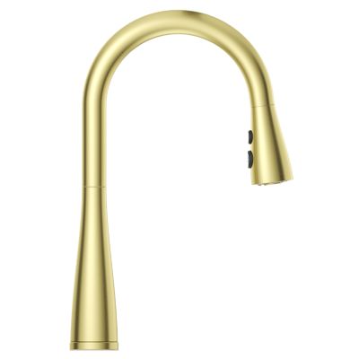 Neera 1-Handle Pull-Down Kitchen Faucet 1-Handle Pull-Down Kitchen Faucet