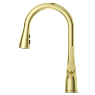 Neera 1-Handle Pull-Down Kitchen Faucet 1-Handle Pull-Down Kitchen Faucet