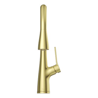 Neera 1-Handle Pull-Down Kitchen Faucet 1-Handle Pull-Down Kitchen Faucet