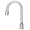 Neera 1-Handle Pull-Down Kitchen Faucet 1-Handle Pull-Down Kitchen Faucet