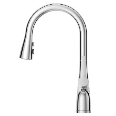 Neera 1-Handle Pull-Down Kitchen Faucet 1-Handle Pull-Down Kitchen Faucet