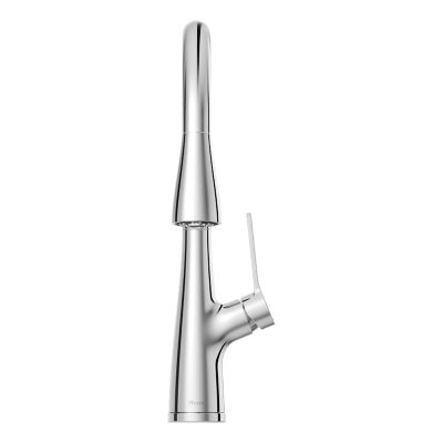Neera 1-Handle Pull-Down Kitchen Faucet 1-Handle Pull-Down Kitchen Faucet