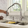 Pasadena 1-Handle Pull-Down Kitchen Faucet 1-Handle Pull-Down Kitchen Faucet