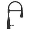 Raya 1-Handle Pull-Down Kitchen Faucet 1-Handle Pull-Down Kitchen Faucet