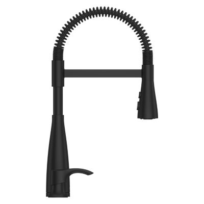 Raya 1-Handle Pull-Down Kitchen Faucet 1-Handle Pull-Down Kitchen Faucet