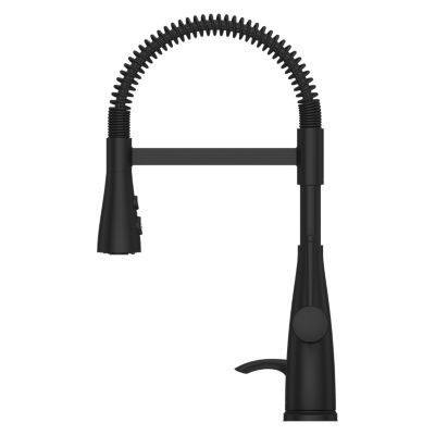 Raya 1-Handle Pull-Down Kitchen Faucet 1-Handle Pull-Down Kitchen Faucet