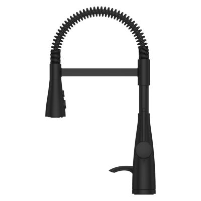 Raya 1-Handle Pull-Down Kitchen Faucet 1-Handle Pull-Down Kitchen Faucet