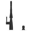 Raya 1-Handle Pull-Down Kitchen Faucet 1-Handle Pull-Down Kitchen Faucet