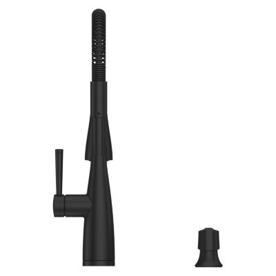 Raya 1-Handle Pull-Down Kitchen Faucet 1-Handle Pull-Down Kitchen Faucet