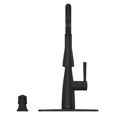 Raya 1-Handle Pull-Down Kitchen Faucet 1-Handle Pull-Down Kitchen Faucet