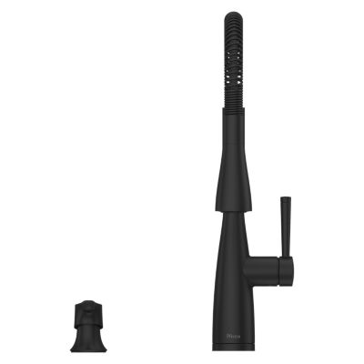Raya 1-Handle Pull-Down Kitchen Faucet 1-Handle Pull-Down Kitchen Faucet