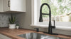 Raya 1-Handle Pull-Down Kitchen Faucet 1-Handle Pull-Down Kitchen Faucet