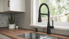 Raya 1-Handle Pull-Down Kitchen Faucet 1-Handle Pull-Down Kitchen Faucet