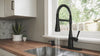 Raya 1-Handle Pull-Down Kitchen Faucet 1-Handle Pull-Down Kitchen Faucet