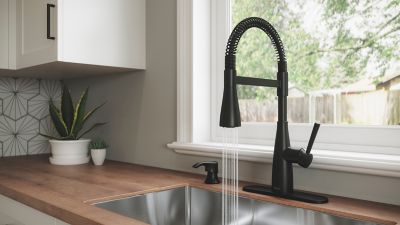 Raya 1-Handle Pull-Down Kitchen Faucet 1-Handle Pull-Down Kitchen Faucet