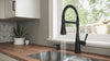 Raya 1-Handle Pull-Down Kitchen Faucet 1-Handle Pull-Down Kitchen Faucet