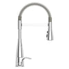 Raya 1-Handle Pull-Down Kitchen Faucet 1-Handle Pull-Down Kitchen Faucet