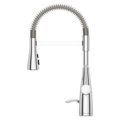 Raya 1-Handle Pull-Down Kitchen Faucet 1-Handle Pull-Down Kitchen Faucet