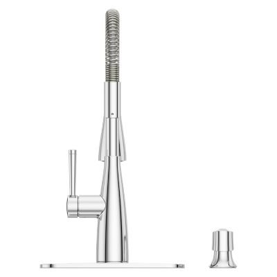 Raya 1-Handle Pull-Down Kitchen Faucet 1-Handle Pull-Down Kitchen Faucet