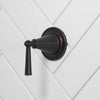 Saxton Diverter Trim Diverter Trim