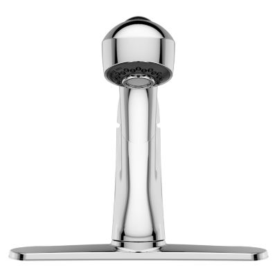 Shelton 1-Handle Pull-Out Kitchen Faucet 1-Handle Pull-Out Kitchen Faucet