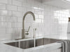 Solo 1-Handle Kitchen Faucet 1-Handle Kitchen Faucet