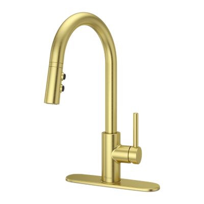 Stellen 1-Handle Pull-Down Kitchen Faucet 1-Handle Pull-Down Kitchen Faucet