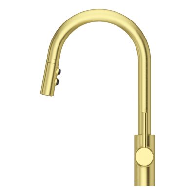 Stellen 1-Handle Pull-Down Kitchen Faucet 1-Handle Pull-Down Kitchen Faucet