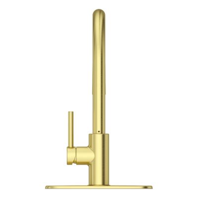Stellen 1-Handle Pull-Down Kitchen Faucet 1-Handle Pull-Down Kitchen Faucet