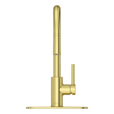 Stellen 1-Handle Pull-Down Kitchen Faucet 1-Handle Pull-Down Kitchen Faucet