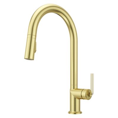 Tenet 1-Handle Pull-Down Kitchen Faucet 1-Handle Pull-Down Kitchen Faucet
