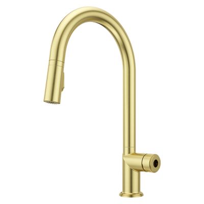 Tenet 1-Handle Pull-Down Kitchen Faucet 1-Handle Pull-Down Kitchen Faucet