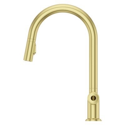 Tenet 1-Handle Pull-Down Kitchen Faucet 1-Handle Pull-Down Kitchen Faucet