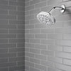 ThermoForce Multifunction Showerhead Multifunction Showerhead