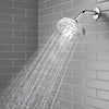 ThermoForce Multifunction Showerhead Multifunction Showerhead