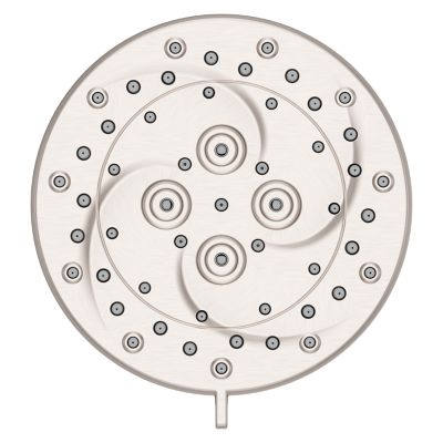 ThermoForce Multifunction Showerhead Multifunction Showerhead