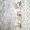 Venturi 1-Handle Tub & Shower Trim with Valve 1-Handle Tub & Shower Trim with Valve